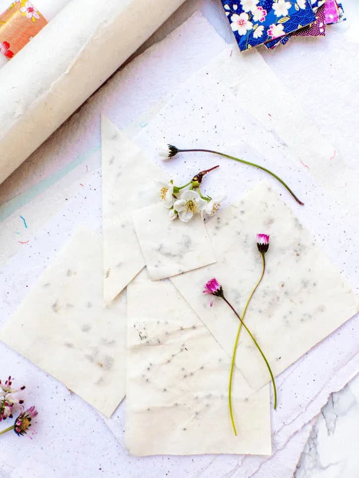 Carte à planter, une idée originale & écologique
