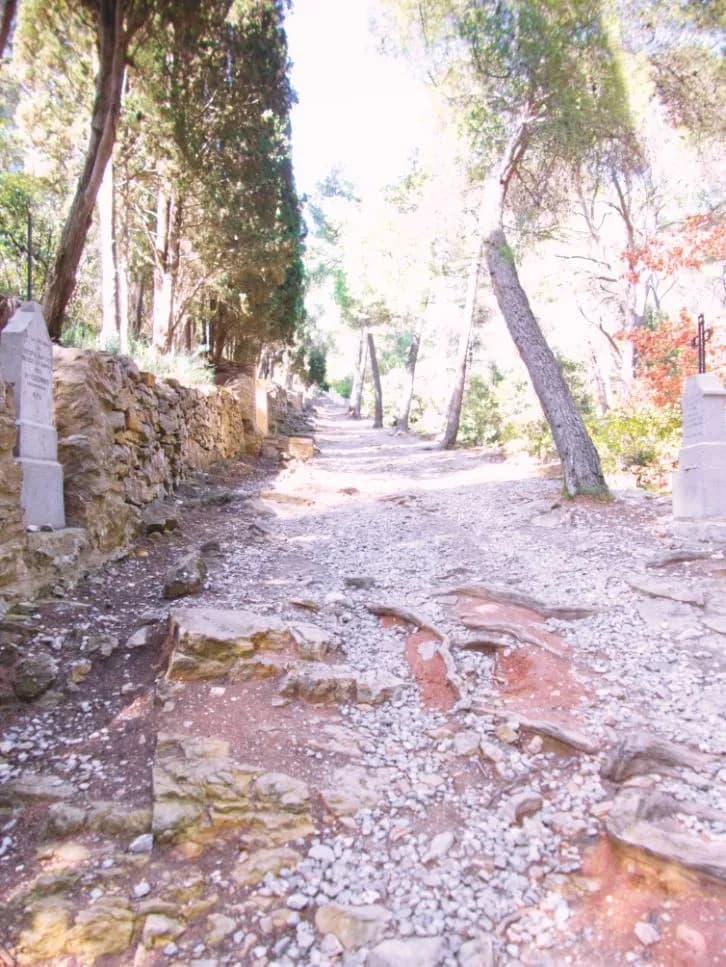 Cénotaphes du cimetière marin