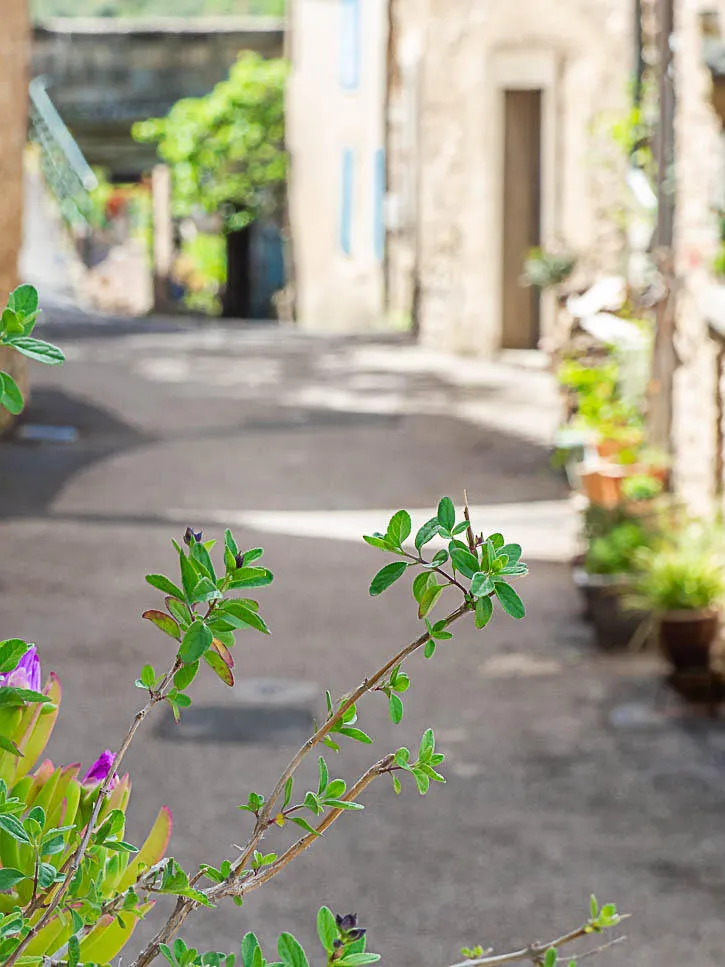 rue fleurie