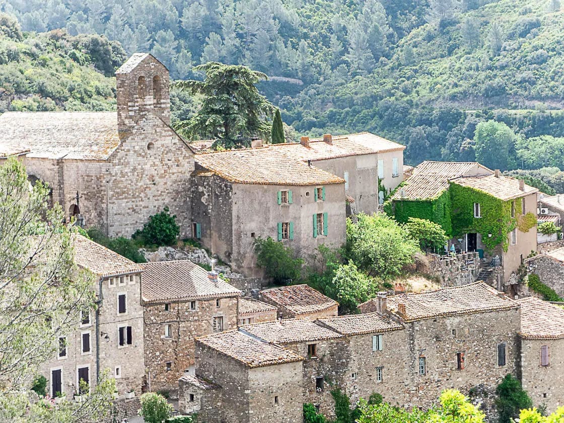 Minerve au printemps