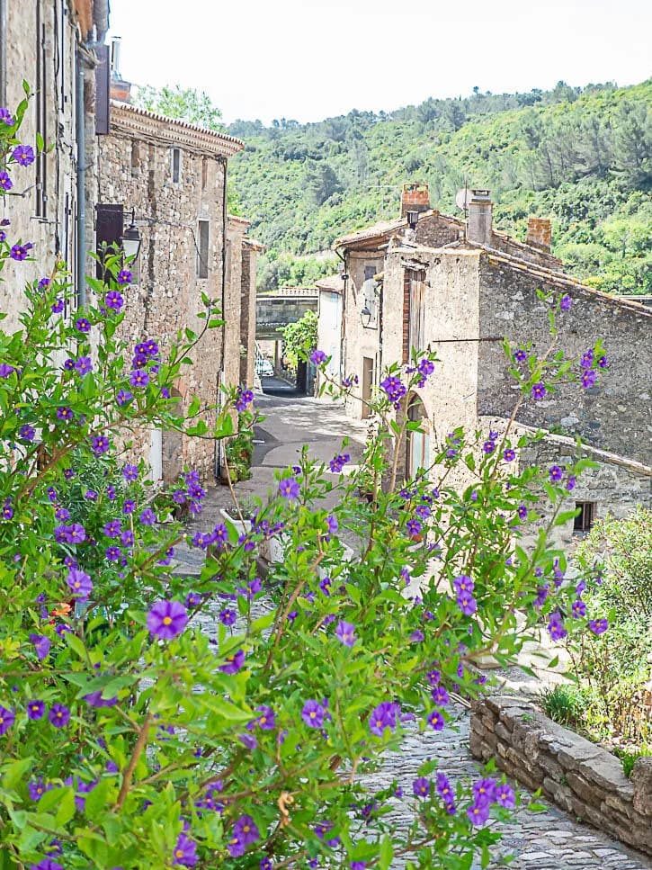 ruelle fleurie