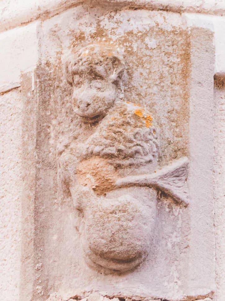 Le singe Compagnon