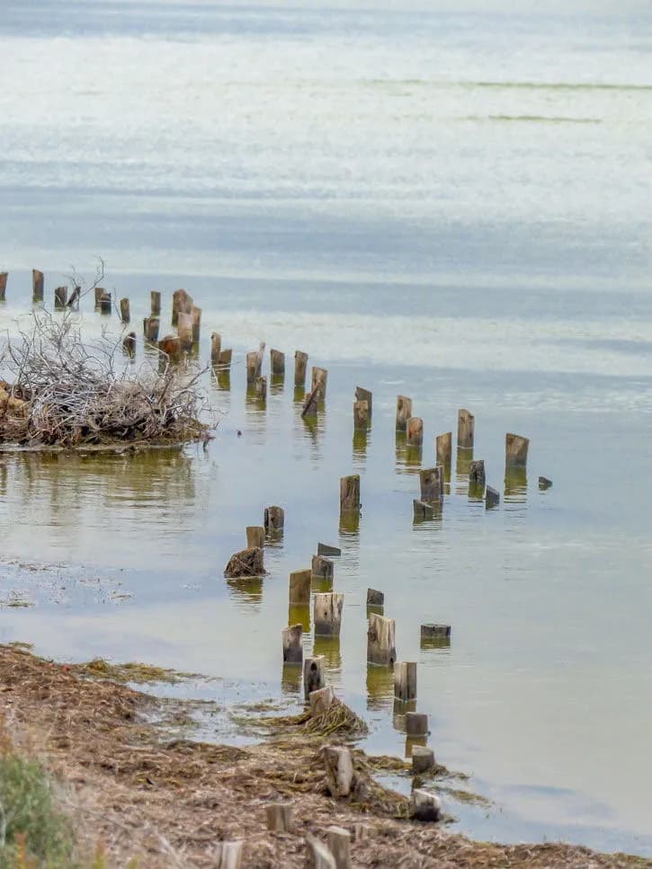 Longue balade à Peyriac-de-Mer sous un ciel d’hiver