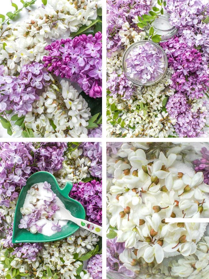 recette sucre aux fleurs