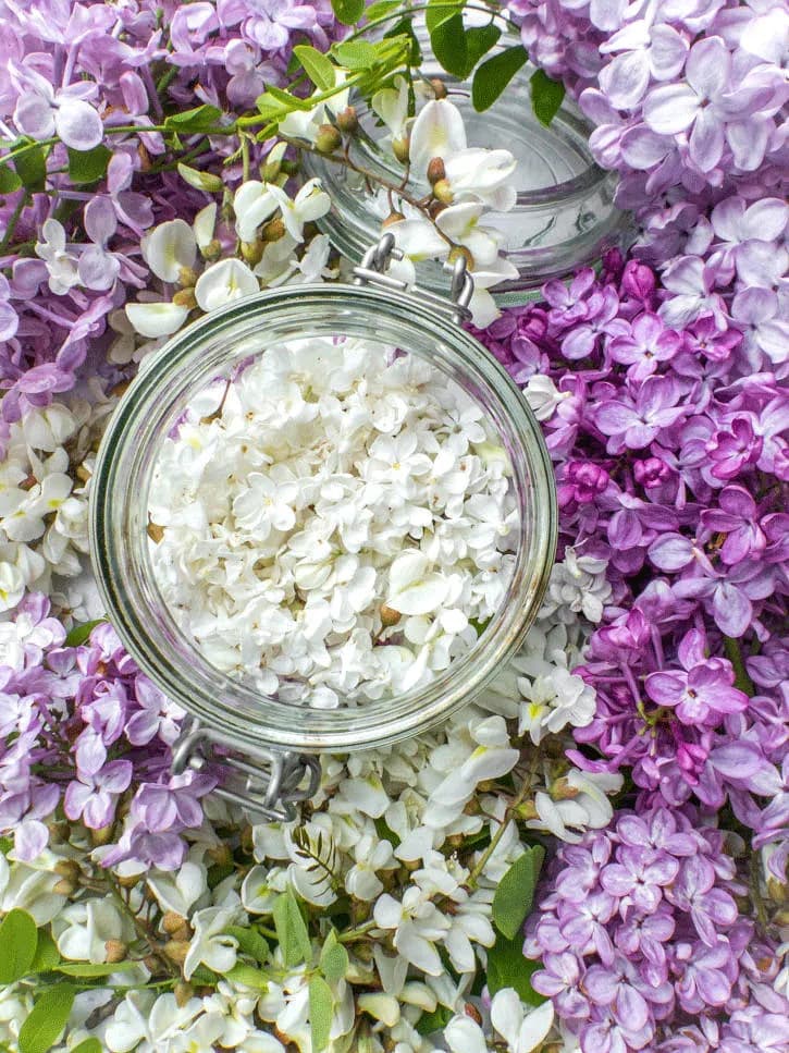 sucre aux fleurs d'acacia