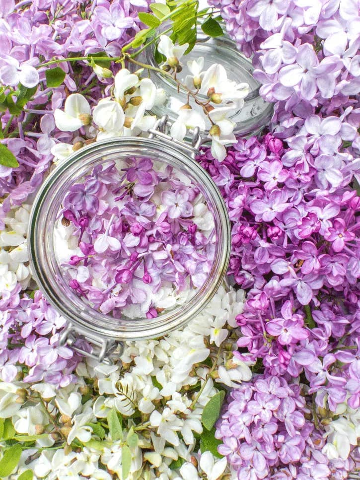 sucre aux fleurs