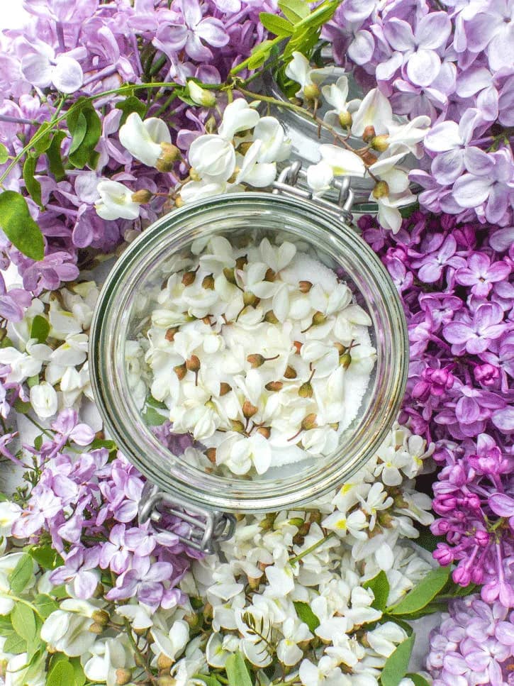 sucre fleurs printemps