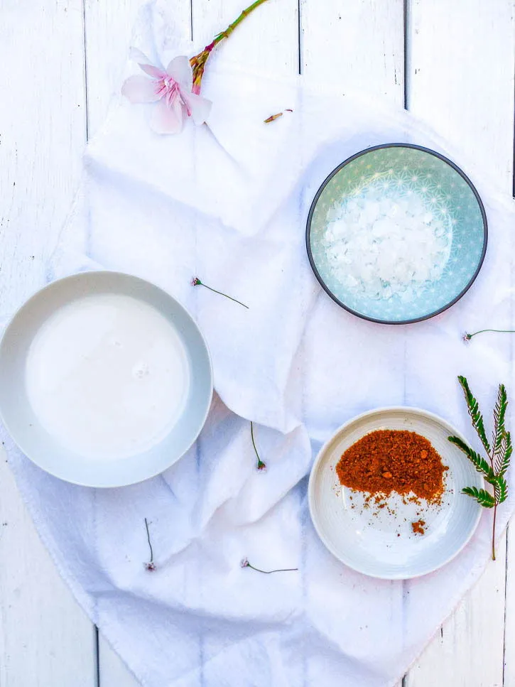 Lait de soja nigari tofu maison