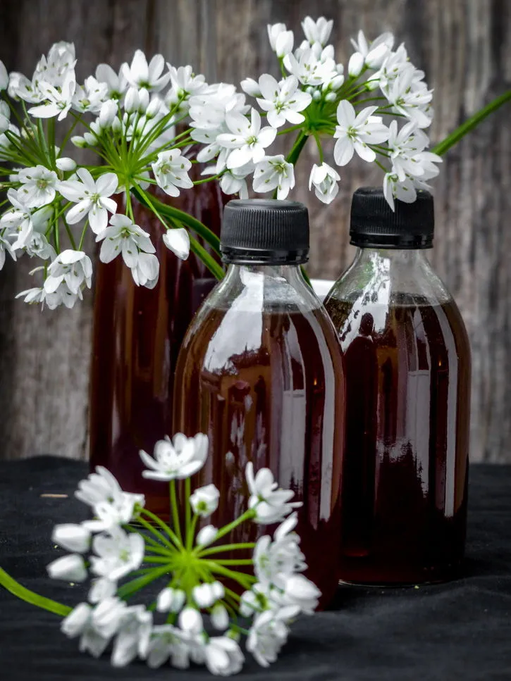 Sirop de pin et fleurs d'ail des ours