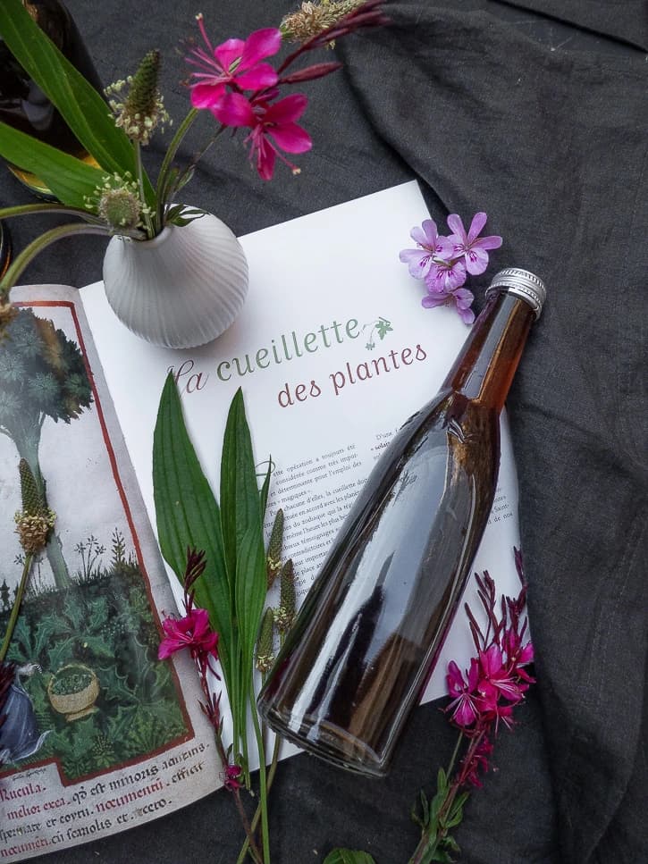 Bouteille de sirop de plantain posé sur un livre d'herboristerie