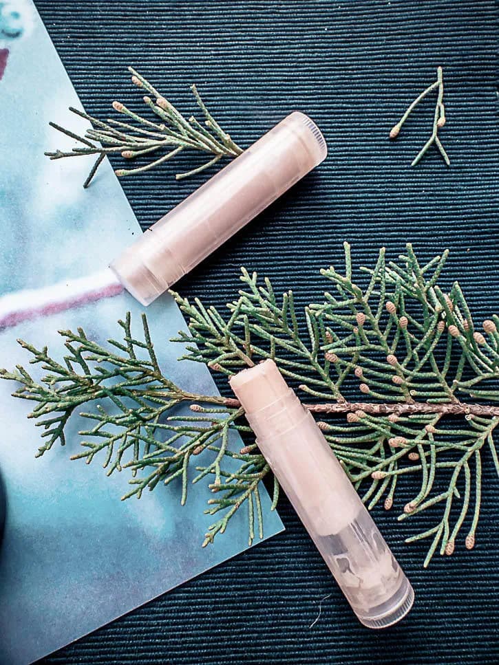 Tubes de pommade à lèvres homemade
