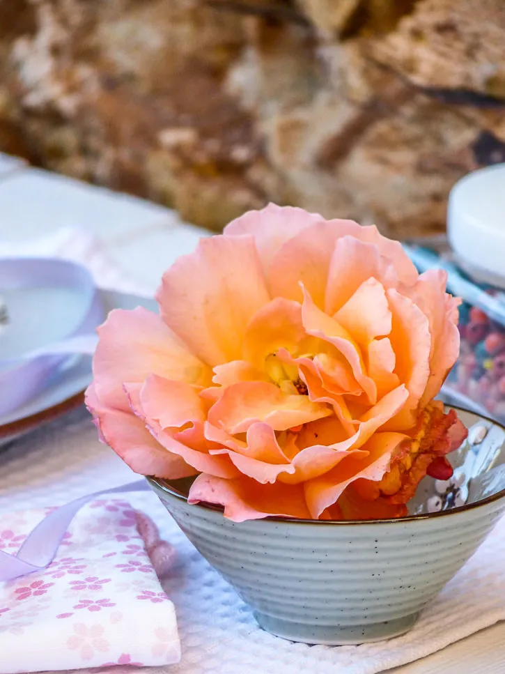 Rose d'automne