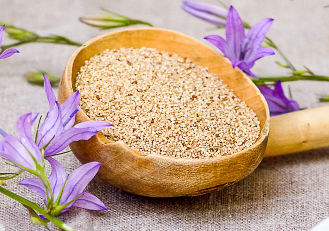 Grains de teff dans une cuillère en bois