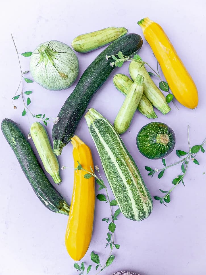 Présentation de différentes variétés de courgettes, verte, zebrée, jaune, ronde de Nice