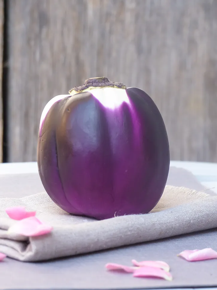 Aubergine violette ronde