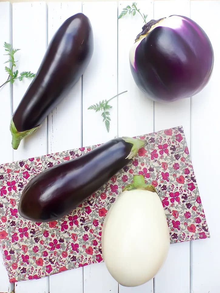 L'aubergine (Solanum melongena L.)