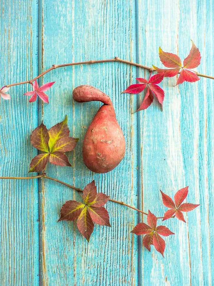 La patate douce, un trésor pour notre santé