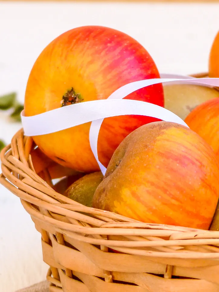 La pomme (Malus communis)