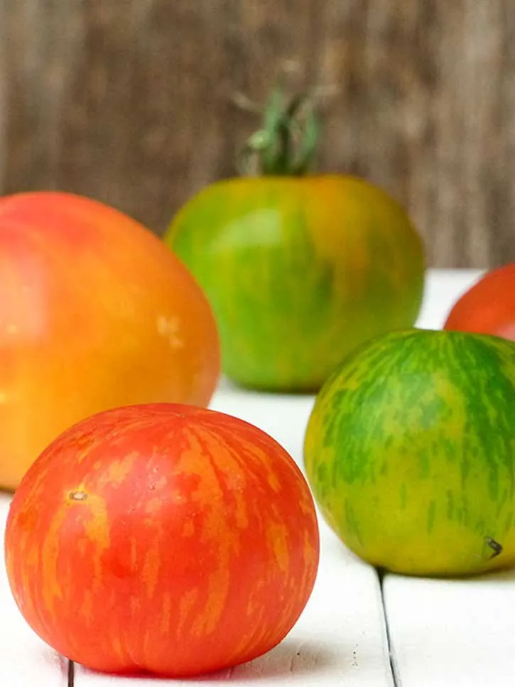 La tomate (Lycopersicon esculentum)