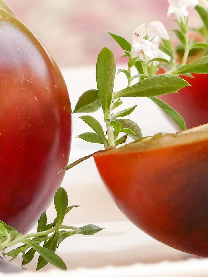 La tomate, ses bienfaits et son histoire (Lycopersicon esculentum)