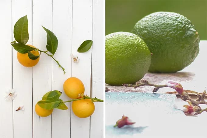 Utilisation du citron
