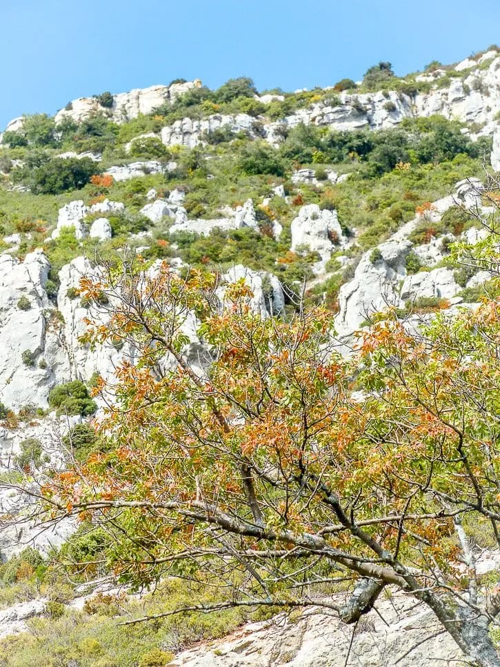 Sur la route de Boèmia