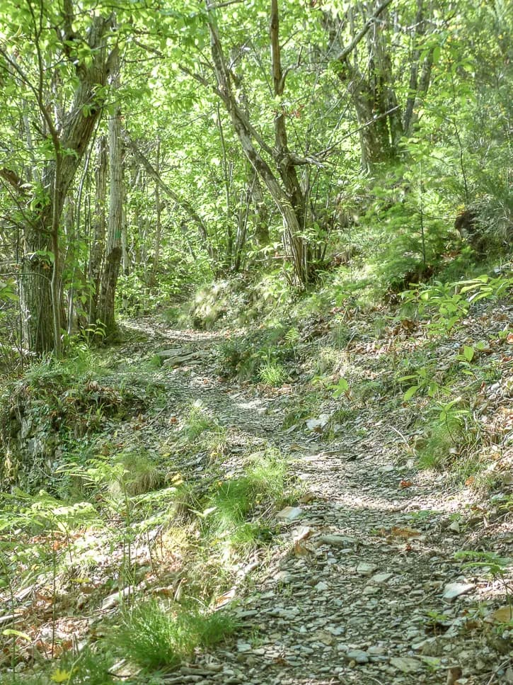 Chemin dans les Cévennes