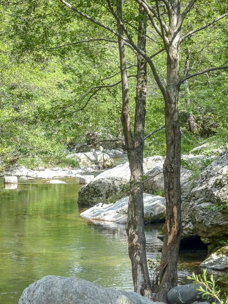 Les Cévennes au printemps, un massif à découvrir
