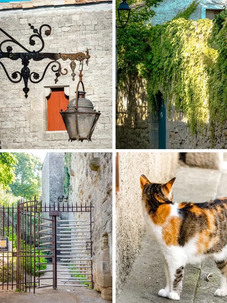 Cité de Carcassonne, rencontre avec un chat