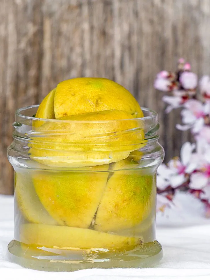 lacto-fermentation bergamote Une