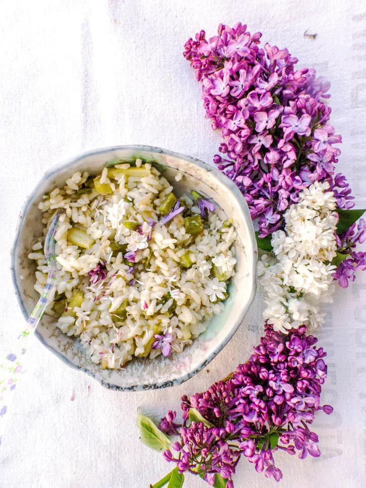 Recettes de printemps