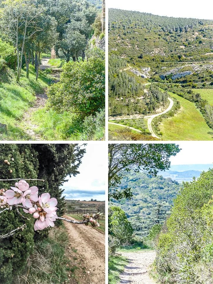 la marche sur divers chemins