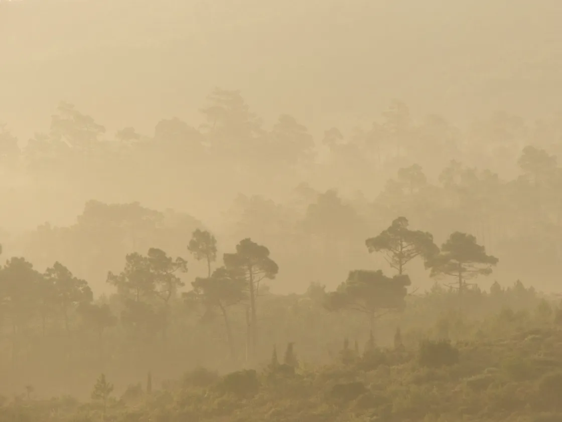 brume d'octobre