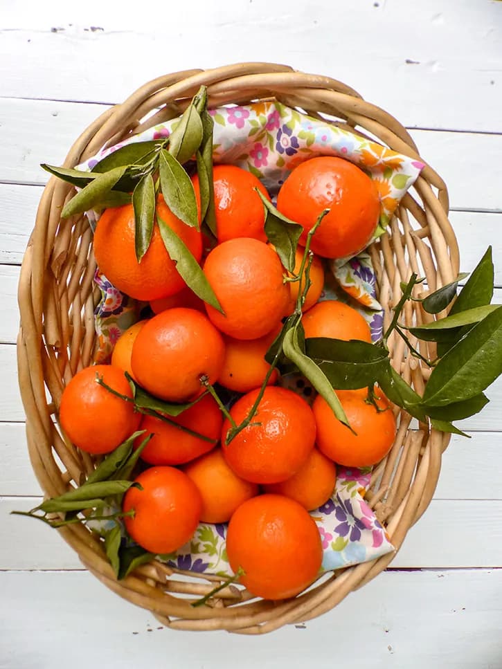 La clémentine (Citrus clementina)
