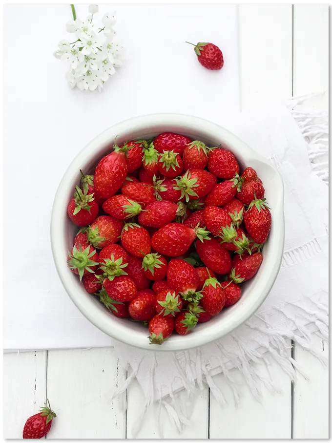 La fraise histoire et vertues