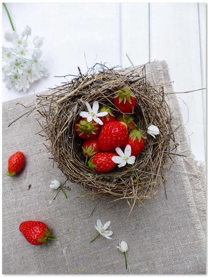 propriétés de la fraise