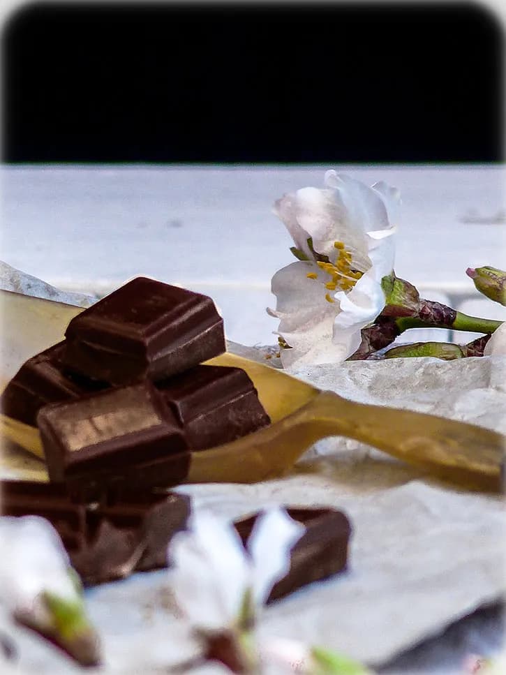 Histoire et fabrication du chocolat