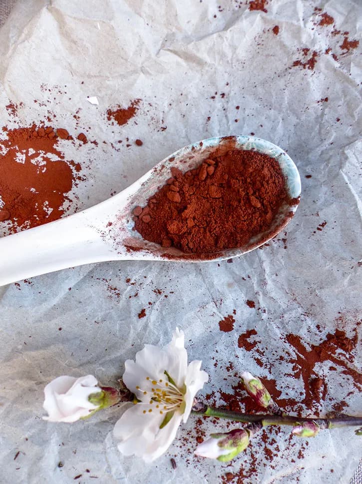 Le chocolat, histoire et fabrication
