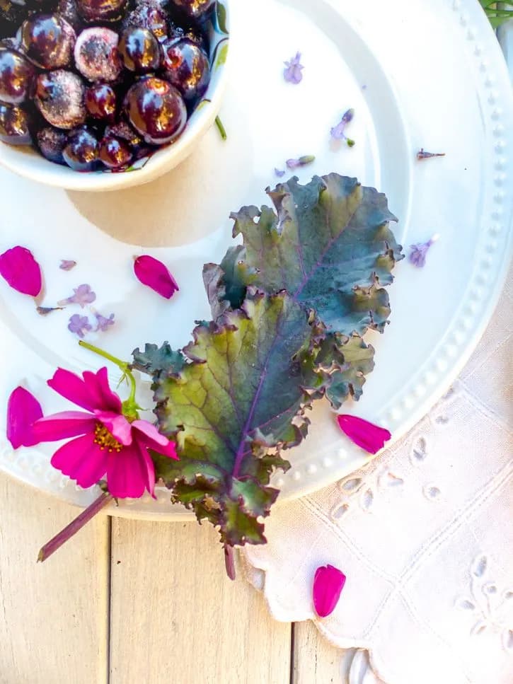 Vitamine C kale cassis